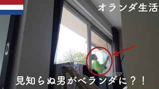 【誰やねん】ベランダに急に人が立っていた?! - オランダ駐在vlog