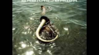 LaBrassBanda - Bauersbua