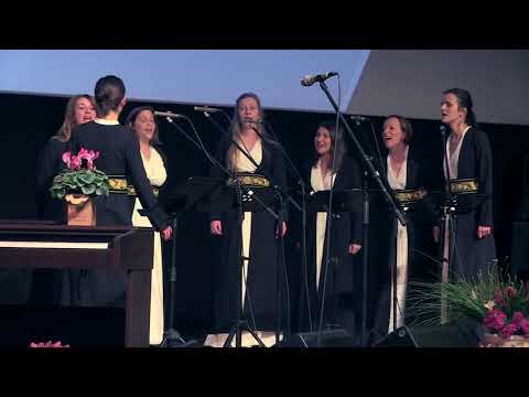 Pisala bi knjigu - Ženska klapa Ćakulone