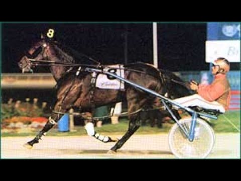 1994 Breeders Crown JENNA'S BEACH BOY Bill Fahy