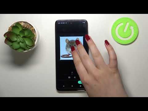 How to Add Photo to Contact in MOTOROLA Moto G22 - Add Picture to Contact