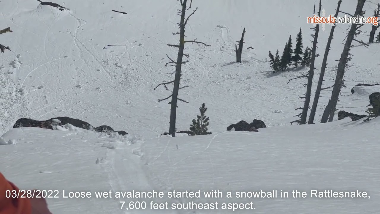 ��������� ����� �� ����� - ��� ������ ����