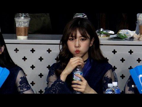 170216  2016-17 NH농협 V리그 남자부 5라운드 드림캐쳐 (DREAMCATCHER) 응원 유현 직캠 by.경호