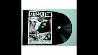 Citizen Fish   Next Big Thing