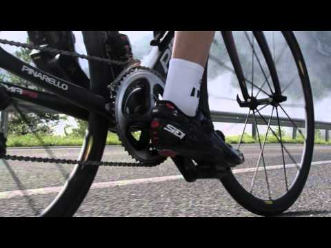 De Marchi PERFECTO BIB SHORT