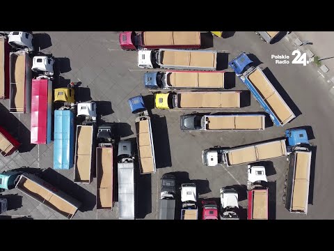 Port w Gdańsku przeżywa najazd ciężarówek ze zbożem. W kolejce stoi nawet do 200 pojazdów