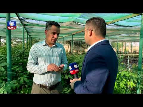 بەڤیدیۆ.. نەمامگەی کفری گەورەترین نەمامگەی گەرمیانە