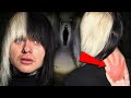 The Night a WITCH ATTACKED Me | The Witches Mansion (Very Scary)