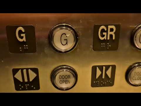 Giant Modernized Long Hydraulic Elevator at Steinberg Hall WU St. Louis MO