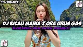 Download lagu DJ KICAU MANIA X ORA URUS GAS POL NDANGAK SOUND VIRAL FYP TIKTOK TERBARU 2026 BY ELART LA mp3