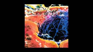 Dew Scented - Immortelle