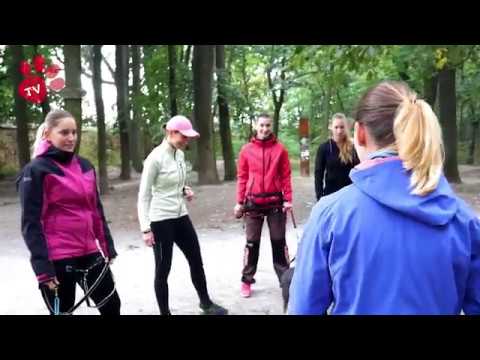 Náhled pro video reference