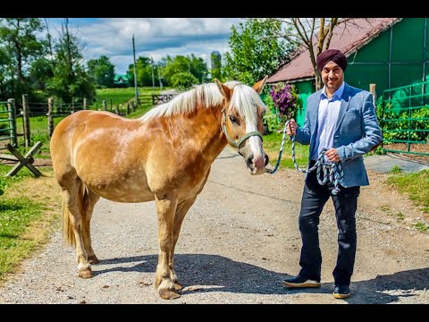 Caledon Ontario Canada | Discover Caledon | Jesse Johar