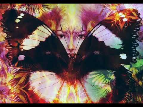 Olívio Fonseca - Livre