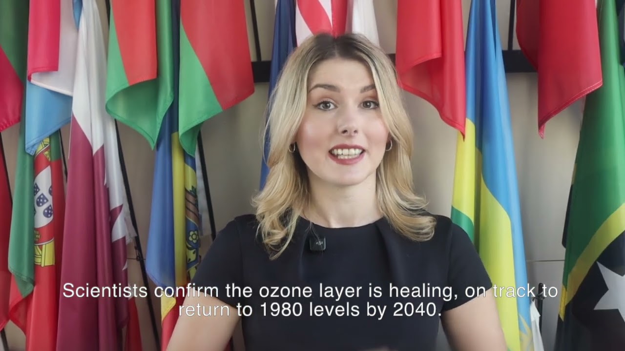 🌍 40 Years – 40 Voices (Irma Lizde)