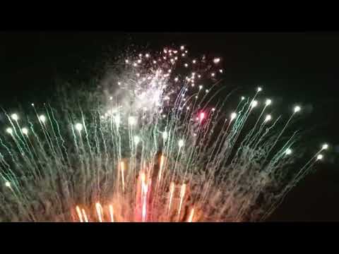 New color blooming double z 500's