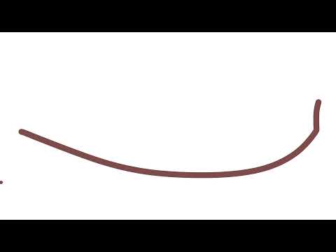 animatronics do get a bit quirky at night