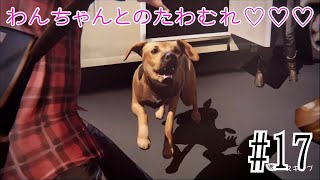 【ライフイズストレンジ】ハリーポッターというのはあながち間違いではなかった#17【実況プレイ】【2人実況】