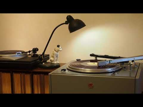 Vibrollini / Adrian Rollini Novelty Trio