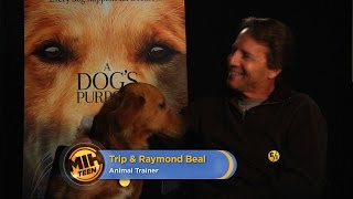 Animal Trainer Raymond Beal on \