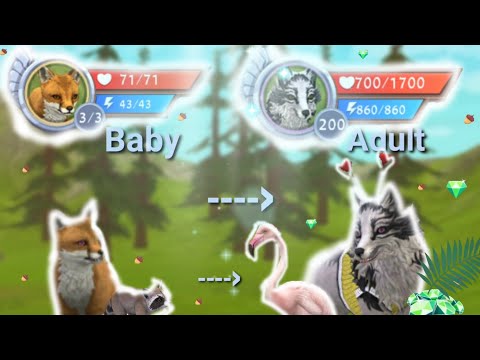 Wildcraft From baby fox to level 200 ( 30k special)