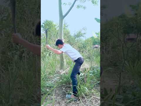 วิธี