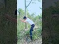 วิธี