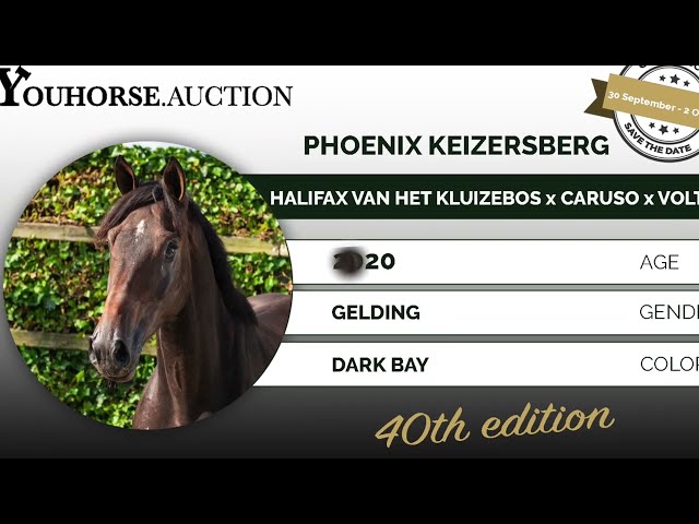 Phoenix Keizersberg