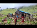 Simple Nepali Rural Village In Mountain Life With Beautiful Nature Buffalo Shepherd Life Nepal