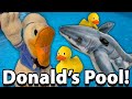 Donald S Pool
