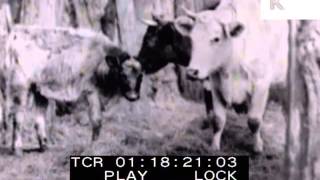 1930s Cotswolds and Oxfordshire Countryside, UK