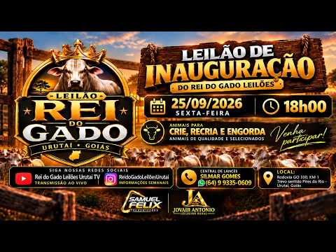 25/09/2026 - Rei do Gado Leilões - Urutai-GO