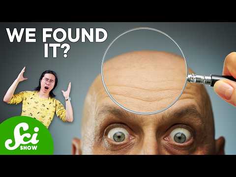 生髮黑科技大解密：我們距離完全治癒禿頭還有多遠？（Can Baldness Be Reversed?）