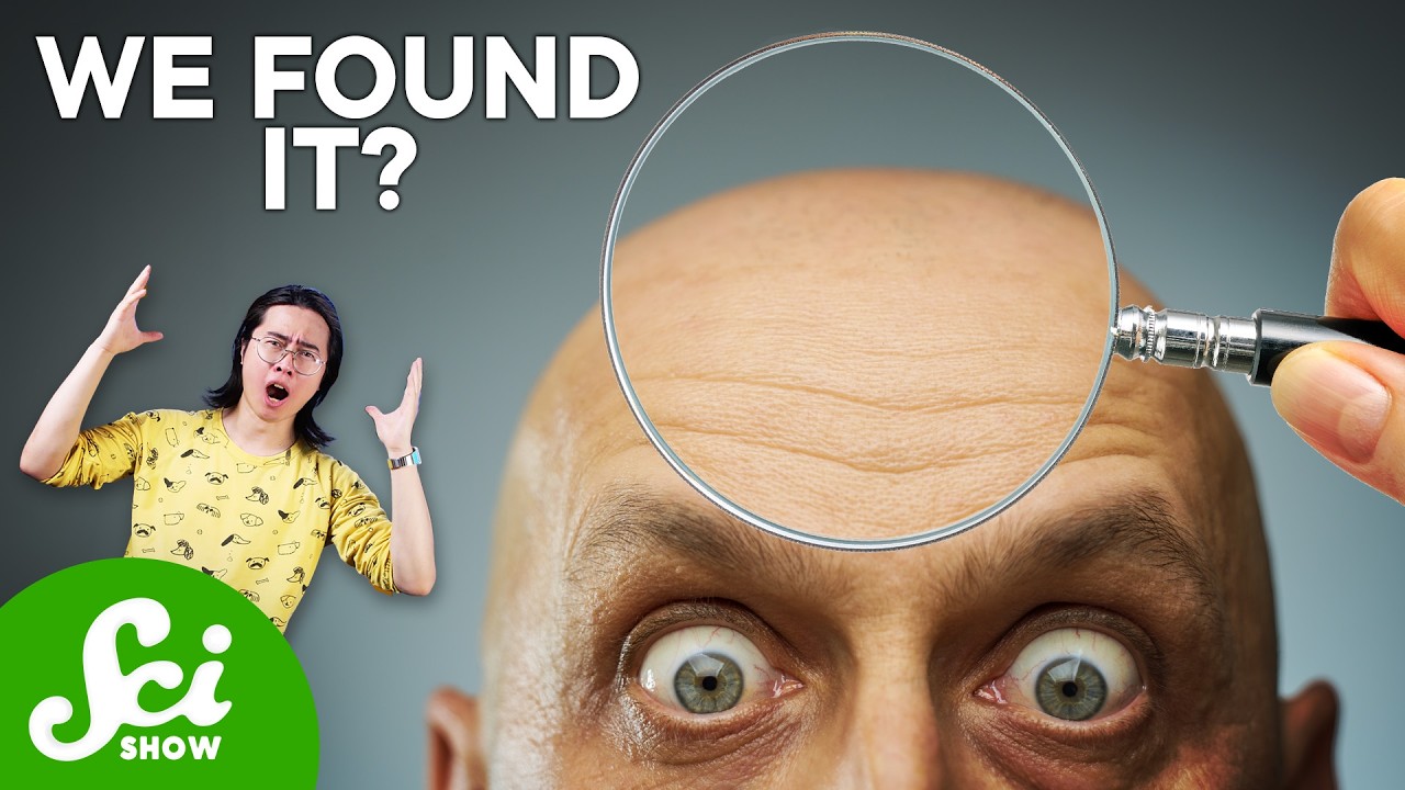 What Baldness and Cancer Might Have in Common
