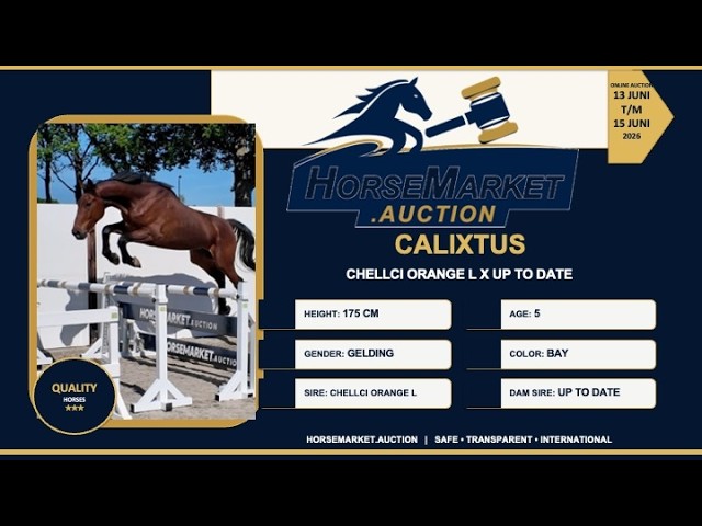 Calixtus