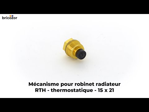Mécanisme pour robinet radiateur - RTH - pour corps thermostatique COMAP