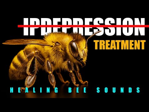 Healing Bee Sounds | Nature’s Remedy for Depression