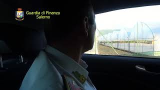 blitz-della-guardia-di-finanza-truffa-nelle-aziende-agricole