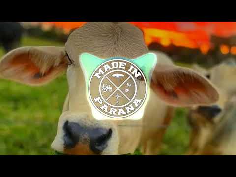 Se for passar em Goiânia - Trio parada Dura (MADE IN PARANÁ EDITION)