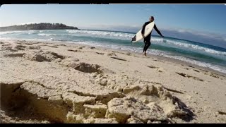 Australien: Surfer nach Hai-Angriff vermisst