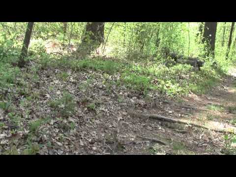 Charles River Link Trail Natick MA Part 1. Pegan Hill.