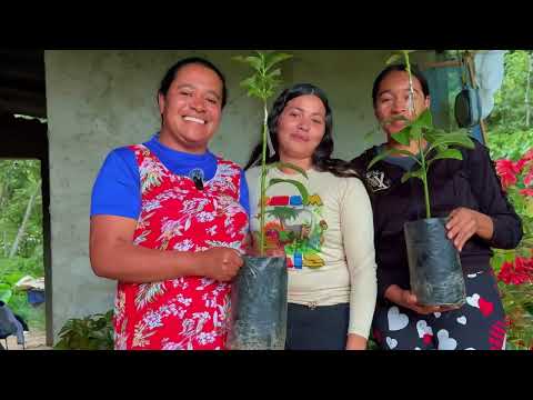 En el municipio Tovar del estado Aragua, la juventud está demostrando de qué es capaz. 