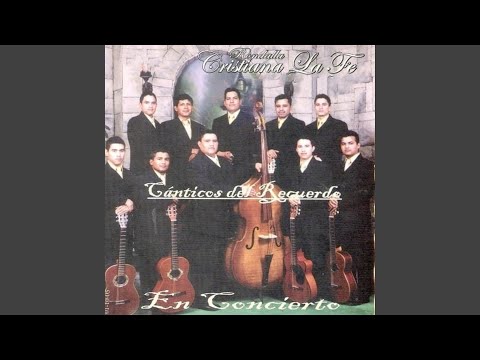 Fiel ayudador (En Concierto)