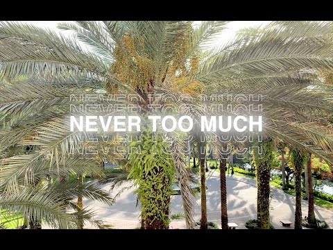 Never Too Much - Luther Vandross(LIVE Soul King X Sax Cover) @ UMIAMI 2021