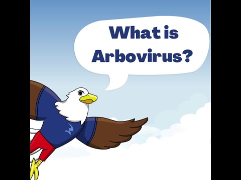 What is Arbovirus?