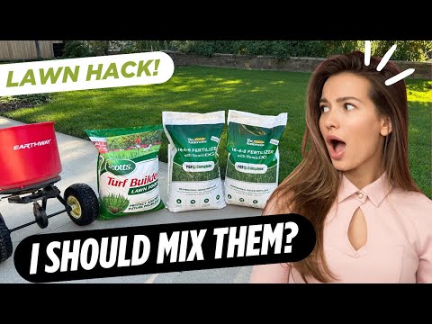 Ultimate Fall Fertilizing Guide for a Perfect Lawn!