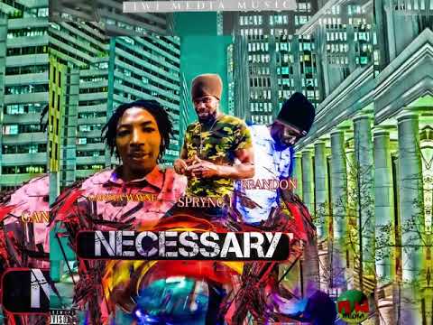 Necessary   Spryng I , Gansta Wayne & Brandon