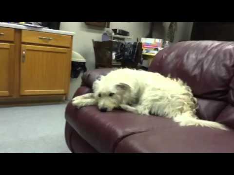 Johnny Sack asks Carmine to sanction a hit on Ralph