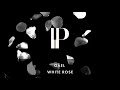 GÅEL - White Rose