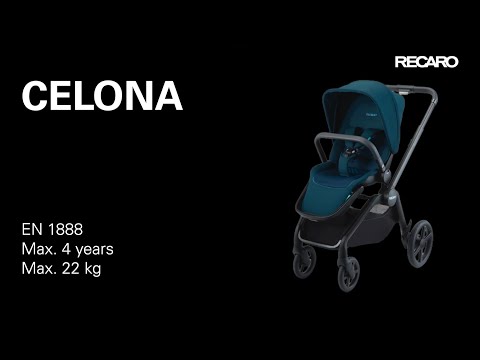 Коляска Recaro Celona Select Sweet Curry (шасси Black)